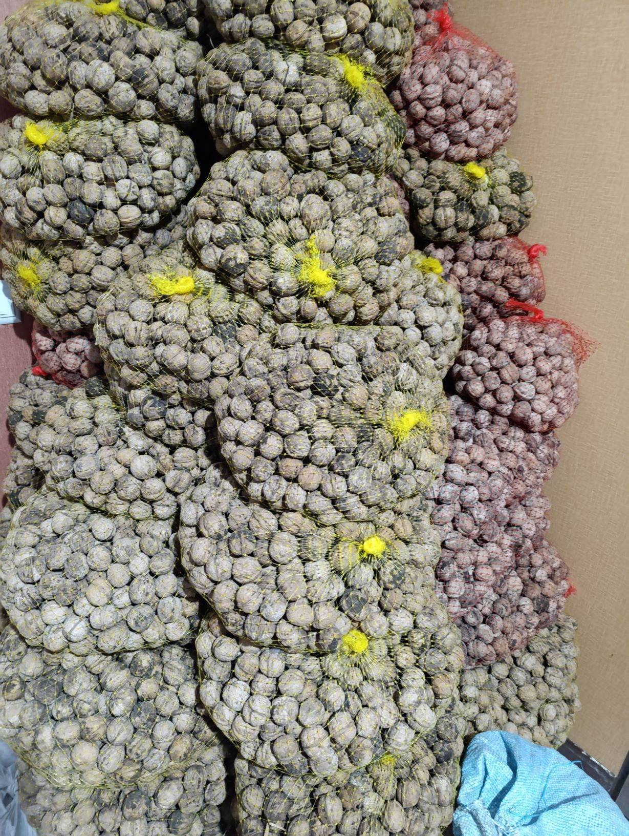 300کیلو گردوی اعلای تویسرکان 